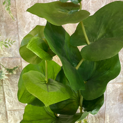 光触媒　人工観葉植物　ウォールグリーン　フェイクグリーン　シーグレープカラテアアレンジgptj 6枚目の画像