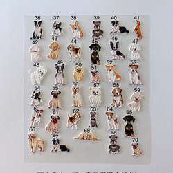ペット　ネームタグ　名入れ　迷子札　セミオーダー　ワンちゃん　犬　キーホルダー 10枚目の画像