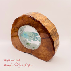 流木を使ったレジンアート ナポレオンフィッシュ 海の生き物 ジオラマ 流木 レジンアート テラリウム アクアリウム N4 5枚目の画像
