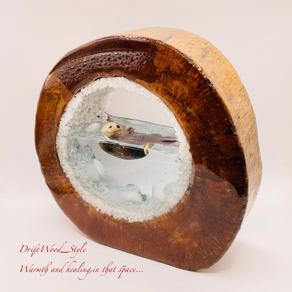 一つ限りの流木アート 海に浮かぶラッコ ジオラマ 流木 フィギュア 置物 インテリア レジン テラリウム 生き物 N12 9枚目の画像