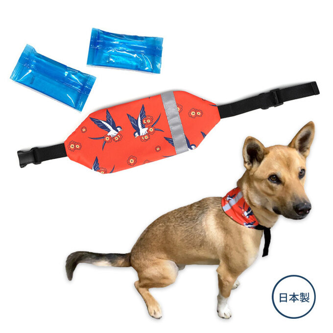 犬用ハンドメイドアクセ♡値下げ‼️