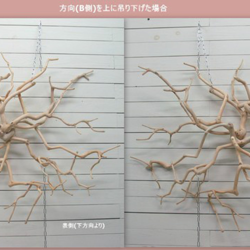 どんぐりアート♡節分＆お雛様ミニオブジェ2点セット - メルカリ
