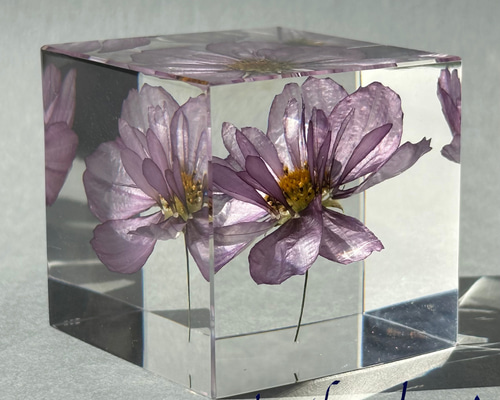 06c31674a2f5100e49985128ac55ee