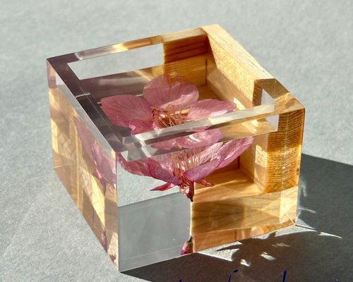 【貝塚伊吹×レジン】レジンボード/植物台/ウッドレジン/台座/パープル BOTANICA ウッドレジン 鉢台 / リバートレイ (一点物) | BRIDGE GARDEN