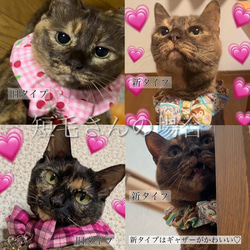 猫ちゃん用 シュシュ 首輪 リボン 鈴 チェック ブルー ピンク【送料無料】 3枚目の画像