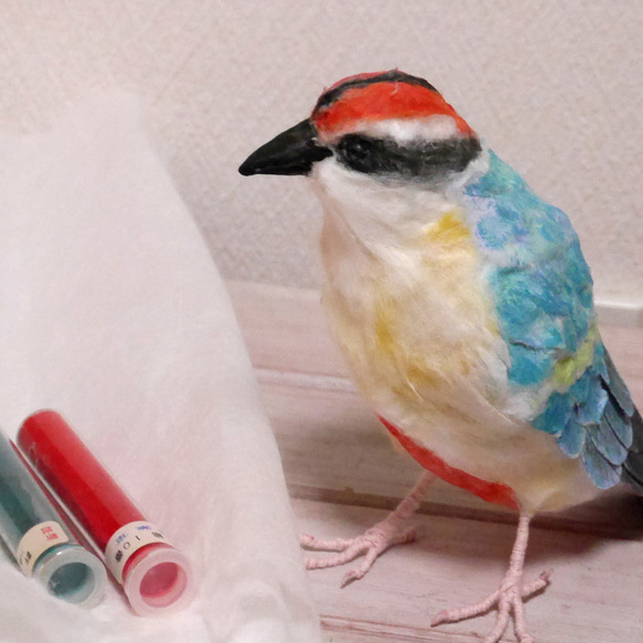 土佐和紙×ひよこ窯　「八色鳥（ヤイロチョウ）」 8枚目の画像