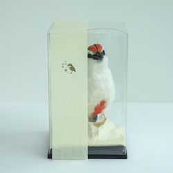 土佐和紙×ひよこ窯　「八色鳥（ヤイロチョウ）」 4枚目の画像
