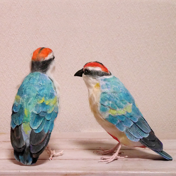 土佐和紙×ひよこ窯　「八色鳥（ヤイロチョウ）」 7枚目の画像