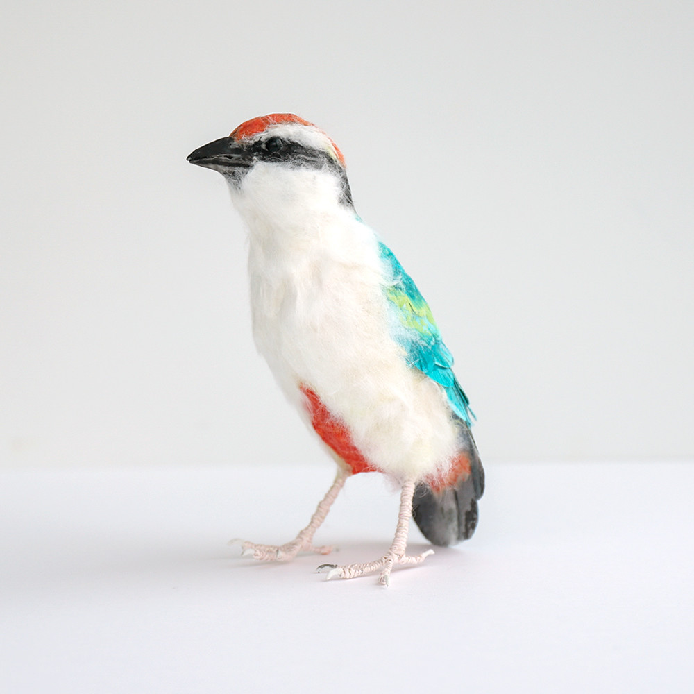 土佐和紙×ひよこ窯　「八色鳥（ヤイロチョウ）」