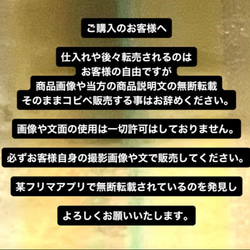 スペサルティンガーネット　ルースケース入り　ミニ原石【①〜⑤ ※ルースケースお一つ分が商品】 10枚目の画像