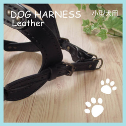 本革　手縫いワンちゃんハーネス　ブラック　小型犬用　HN-1/BLA 2枚目の画像