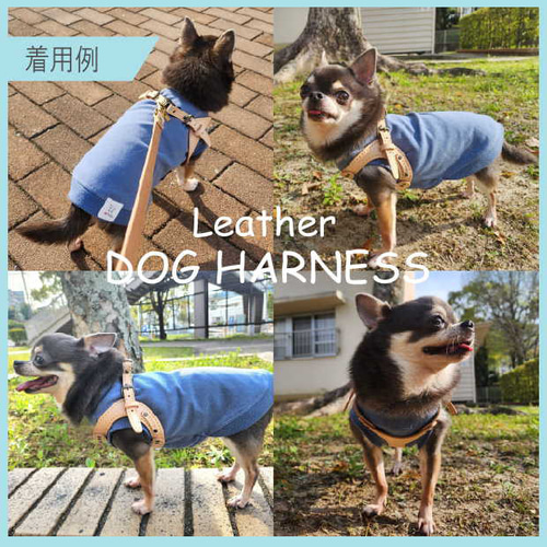 【小型犬用】★本革★ 手縫いで製作したワンちゃん用のハーネス　(７色展開) 小型犬用】☆本革☆ 手縫いで製作したワンちゃん用のハーネス(7