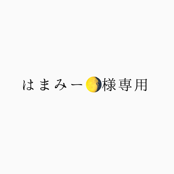 【オーダー】はまみー様専用【その他のお客様の購入×】 1枚目の画像