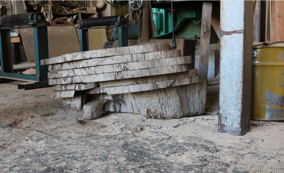チーク材原木スライス　ディスプレイ台　木工材　チーク材料 16枚目の画像