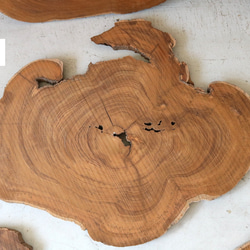 チーク材原木スライス　ディスプレイ台　木工材　チーク材料 10枚目の画像