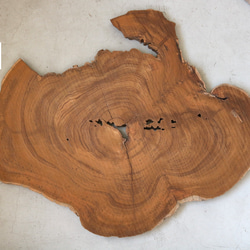 チーク材原木スライス　ディスプレイ台　木工材　チーク材料 11枚目の画像