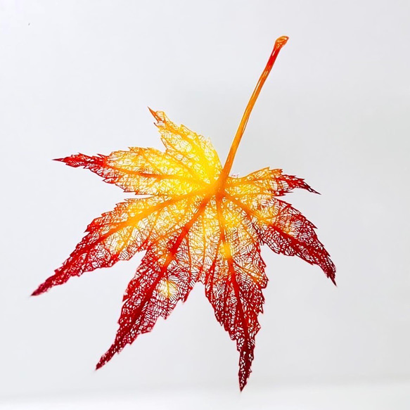 切り絵「紅葉-深まる秋」ハガキサイズ　インテリア　プレゼント 