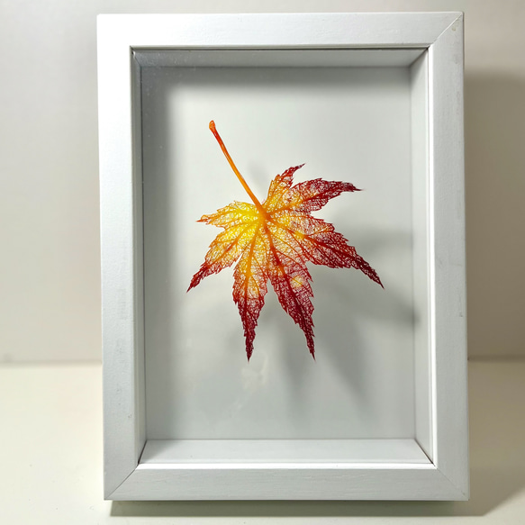剪紙「秋葉」明信片尺寸 第4張的照片