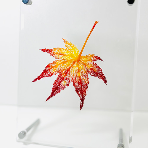 切り絵「紅葉-深まる秋」ハガキサイズ インテリア プレゼント 植物