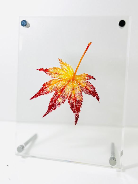 切り絵「紅葉-深まる秋」ハガキサイズ　インテリア　プレゼント 