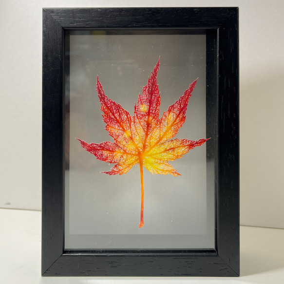 切り絵「紅葉-深まる秋」ハガキサイズ　インテリア　プレゼント 