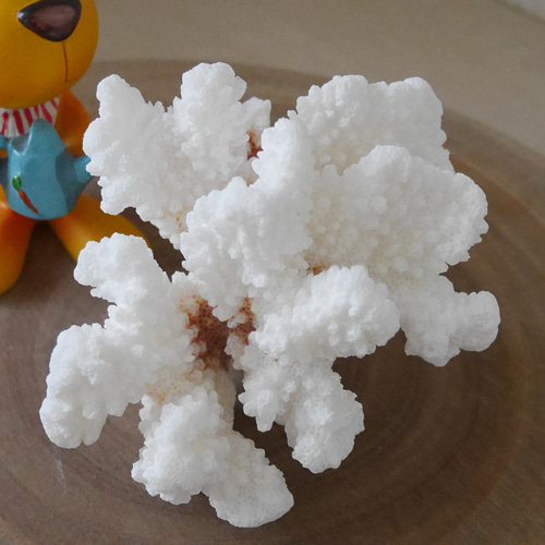 宮古島産 天然 サンゴ 149g 割れ物注意！素材販売 インテリア コーラル