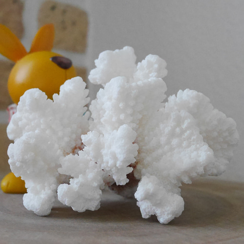 宮古島産 天然 サンゴ 149g 割れ物注意！素材販売 インテリア コーラル