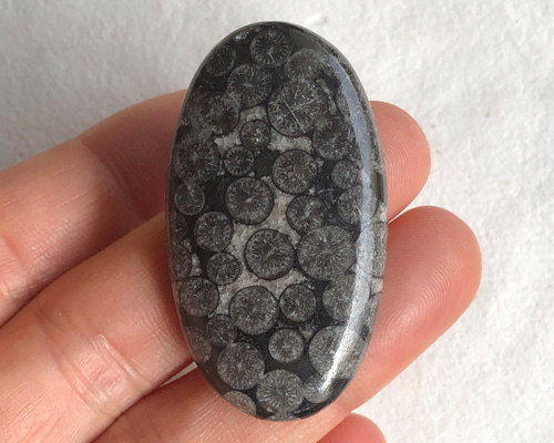 ecaff301aa5c2bfedbcbba5fbe56bf