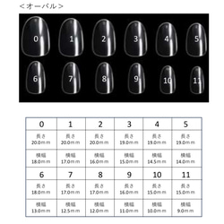  第15張的照片