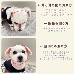 わんちゃんの目や頭を守る犬用帽子　⭐︎なめらかスウェード生地⭐︎ 【ブラック】 6枚目の画像