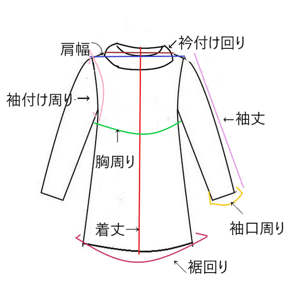  第5張的照片