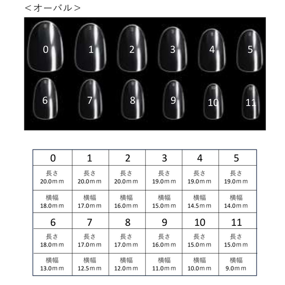 サイズ確認用チップ　オーバル 1枚目の画像