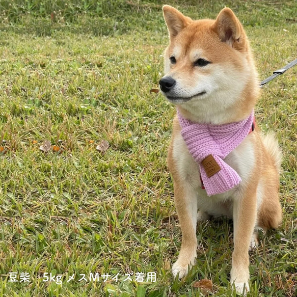 NEW ペット マフラー 防寒 ニット 冬 服 アクセサリー 猫 犬 可愛い 5枚目の画像