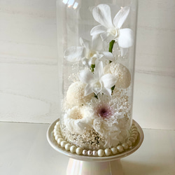 <仏花> 純白のオールホワイト /ガラスドームのお供え用プリザーブドフラワーアレンジ 4枚目の画像
