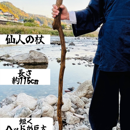 仙人の杖 美術品