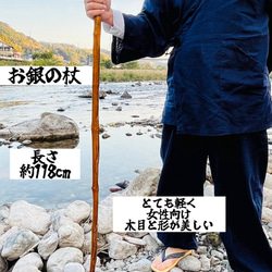 流木　仙人の杖 仙人の杖 その他インテリア雑貨 Natural工房 流木大陸 通販 16930581