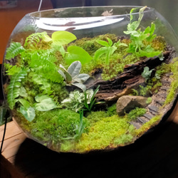 080bbd86549b91387fe55fcd126822