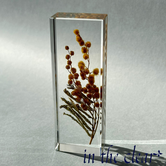 植物標本　ミモザ　黄色　レジン　角柱 3枚目の画像