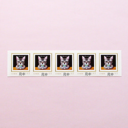 オリジナルデザイン63円切手5枚・お茶する猫・サバトラ・ティータイム・日本育ち・猫舌気にしない・ホッとひと息・パステル画 3枚目の画像