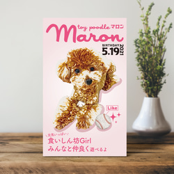 トイプードル限定❤︎オーダー受付ページ おもちゃ・ペット小物 Green