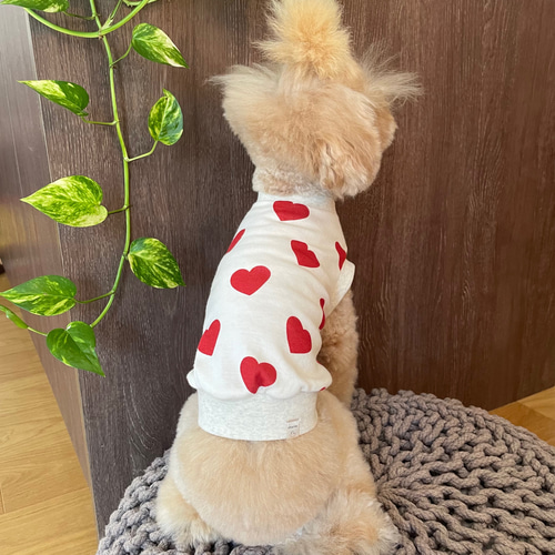 新作 犬服 完成品 ハート柄 タンクトップ おパンツカット ペット服