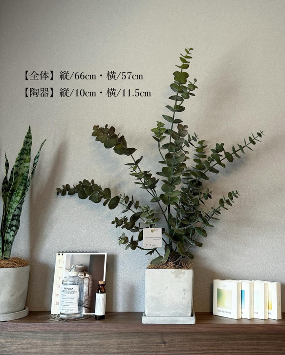 【室内用ユーカリグニー】造花 無料ラッピング◎ 中型観葉植物 新築 フェイクグリーン 3枚目の画像