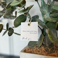 【室内用ユーカリグニー】造花 無料ラッピング◎ 中型観葉植物 新築 フェイクグリーン 9枚目の画像