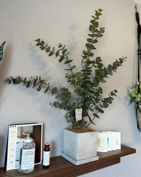 【室内用ユーカリグニー】造花 無料ラッピング◎ 中型観葉植物 新築 フェイクグリーン 6枚目の画像