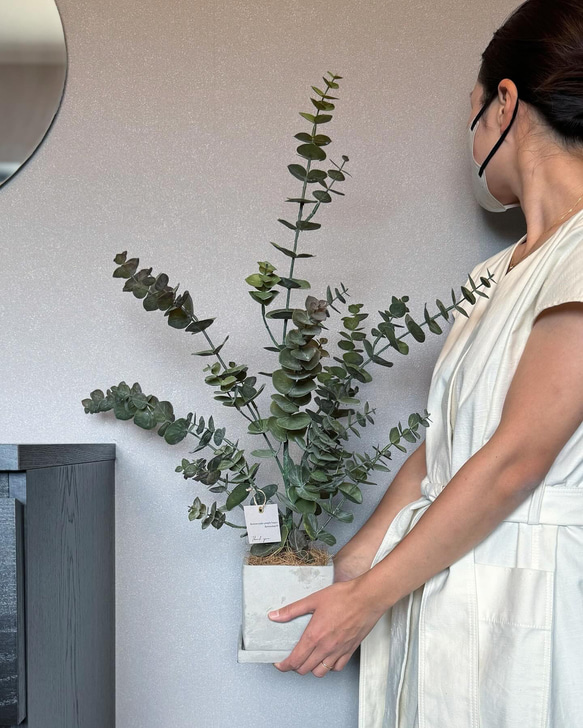 【室内用ユーカリグニー】造花 無料ラッピング◎ 中型観葉植物 新築 フェイクグリーン 2枚目の画像