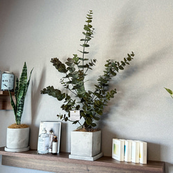 【室内用ユーカリグニー】造花 無料ラッピング◎ 中型観葉植物 新築 フェイクグリーン 4枚目の画像