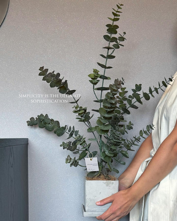 【室内用ユーカリグニー】造花 無料ラッピング◎ 中型観葉植物 新築 フェイクグリーン 1枚目の画像