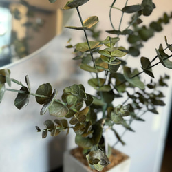 【室内用ユーカリグニー】造花 無料ラッピング◎ 中型観葉植物 新築 フェイクグリーン 8枚目の画像