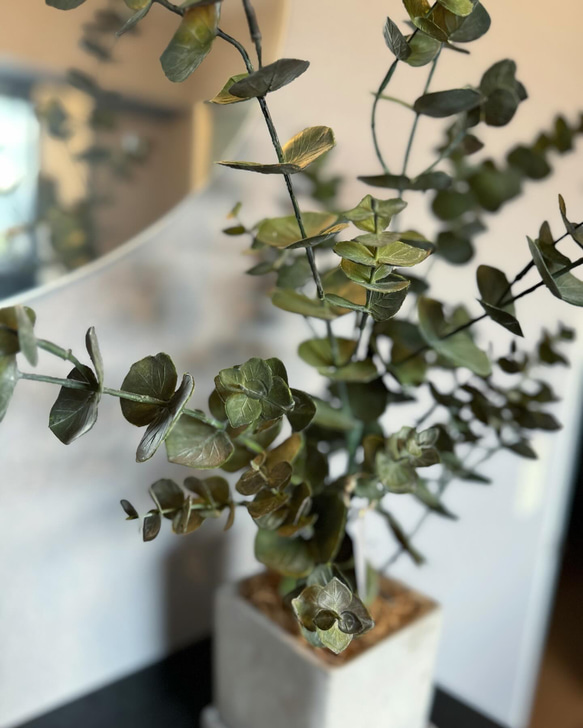 【室内用ユーカリグニー】造花 無料ラッピング◎ 中型観葉植物 新築 フェイクグリーン 8枚目の画像