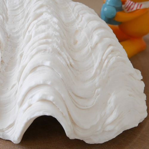 天然貝殻 波状 白  しゃこがい　宮古島　1990年代 大きめ　貝殻　貝　シェル 天然貝殻 波状 白 しゃこがい 宮古島 1990年代 大きめ 貝殻 貝